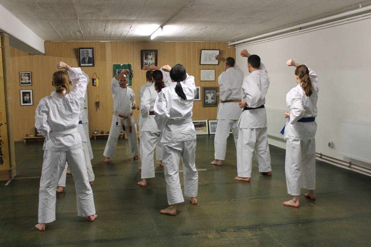 Anfängerkurs Shidokan Shirasagi Dojo Europe